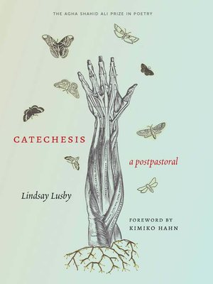 cover image of Catechesis